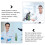 Dicotyledon Blomstruktur Modell 7