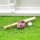 1 Set Mini Baseballhandske Käppa För 5