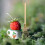 3Pcs Miniatyr Harke Ornament Mini Flertandig Pyntföremål 9