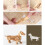 1 Styck Manuell 3D Trämodell Hund För Barn 2