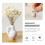 3Pcs Mini Keramikvaser För Blommor 8