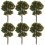 6Pcs Miniatyr Trämodell Citronträd För Inredning 9