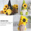 3Pcs Tomte Dockor Plush Skägg Tygdockor Hem 10