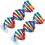 Dna-Modeller Helix Modulkomponenter Vetenskaplig Undervisning 1