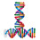 Dna-Modeller Helix Modulkomponenter Vetenskaplig Undervisning 4