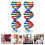 Dna-Modeller Helix Modulkomponenter Vetenskaplig Undervisning 7
