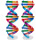 Dna-Modeller Helix Modulkomponenter Vetenskaplig Undervisning 6