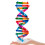 Dna-Modeller Helix Modulkomponenter Vetenskaplig Undervisning 5