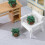 3Pcs Miniatyr Smyckesmöbel Husplanta Decor Mini Resin 10