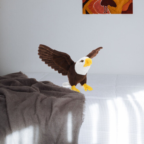 Imitation Vitklövd Örn Plush Leksak Djurdocka För Barn 2