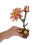 Wooden Daisy Flower 3D För Bukett 4