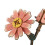 Wooden Daisy Flower 3D För Bukett 8