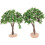 2 Delar Miniatyr Sandlåda 3