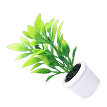 Miniatyr Pottplantshus För Bonsai Och Miniplanta