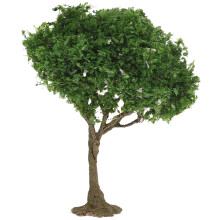Miniatyrträd För Hantverk Och , Modell För