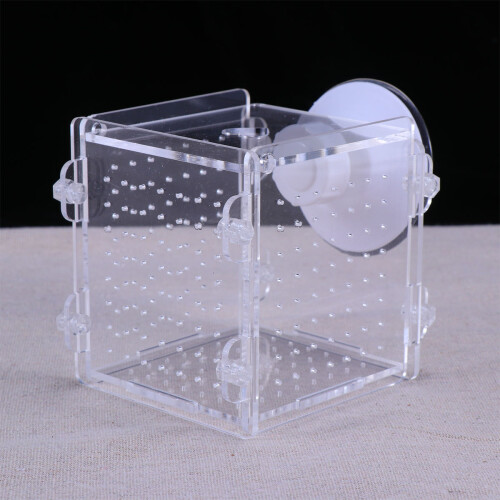 2 Aquarium Vis Kweekbox Babyvis Incubator Visbak 2