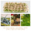 Förpackning Miniatyrvegetation Simulerad Blomsterkluster 9