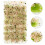 Förpackning Miniatyrvegetation Simulerad Blomsterkluster 6