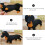1 Styck Simuleringshund Leksak Modell Hund Craft 8