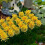 4 Förpackningar Simulerat Gräs Gräskluster För Sandbord 10