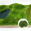Realistiska Miniatyrvin, Simuleringsvin, DIY Lövmodeller 4