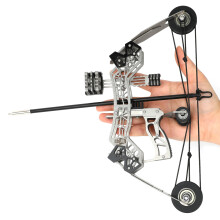 Archery Compound Bow and Arrow Set Draw Weight 12 Lbs For Adults Outdoor Target Archery Training Play Edition Ages 14+