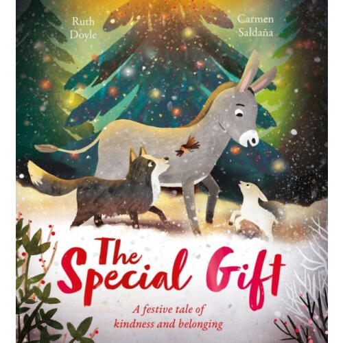The Special Gift by Ruth Doyle Paperback Book