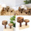 Stable Wooden Pet Food Dishes With Chewing Function For Hamsters 2