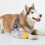 Pet Knee Guards Thermal Insulation Elbow Protector Knee-Blue XL 7