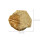 2 Delar Paleontologi Undervisningsmaterial 2