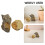 2 Delar Paleontologi Undervisningsmaterial 8