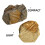 2 Delar Paleontologi Undervisningsmaterial 7