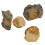 2 Delar Paleontologi Undervisningsmaterial 11