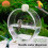Auto Touch Activated Bird Waterer 250ml Corrosion Resistant Cage 7