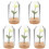 5Pcs Miniatyrhus Blomlåda Rosmodell Realistisk Mini 4