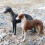 2 Delar Hög Simulerad Hundmodelllek Barn 6