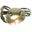Crab Model Toy Simulerad Plast Havsdjur Leksak Utbildningsprop 6
