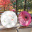 Silk Decorativo Para Y 82 Cm 9