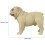 Simulerad Hundmodell Tecknad Figur Stående 2