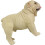 Simulerad Hundmodell Tecknad Figur Stående 4