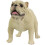 Simulerad Hundmodell Tecknad Figur Stående 9