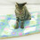 Breathable Warm Pet Bed For-Star Moon Dream Number 4 6