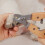 Practical Dog Nail Clippers SplinterProof Wood Grip Safety Stop 7