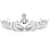 1 Tiara De Diamantes Imitación Con De Cisne Para 2