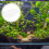 Fish Tank Biochemische Filterwatte Vorkassepad 50 10