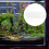 Fish Tank Biochemische Filterwatte Vorkassepad 50 6