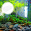 Fish Tank Biochemische Filterwatte Vorkassepad 50 11