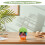 Detachable Skull Model for Anatomy Study Bright Colors 8