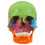 Detachable Skull Model for Anatomy Study Bright Colors 9