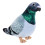 Pombo De Pelúcia , De Desenho , Brinquedo 7